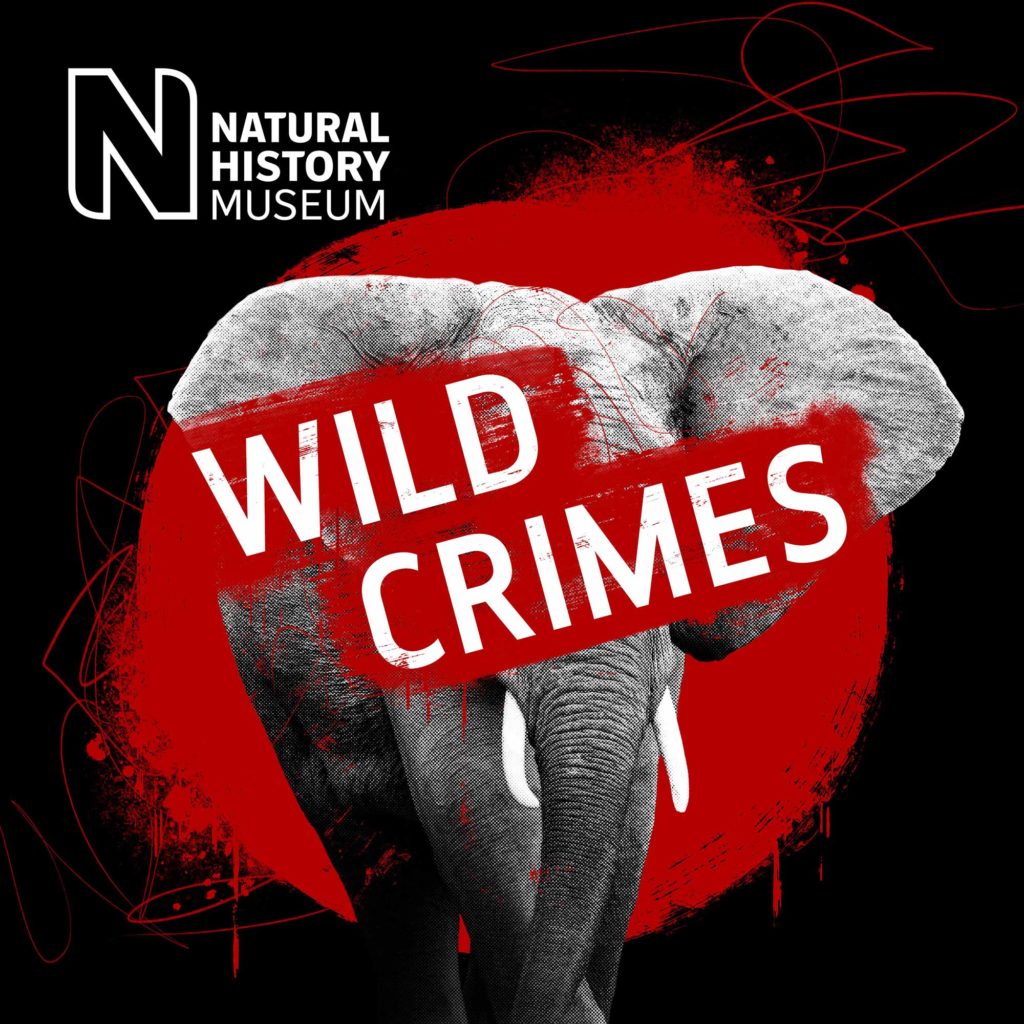 Wild Crimes podcast art