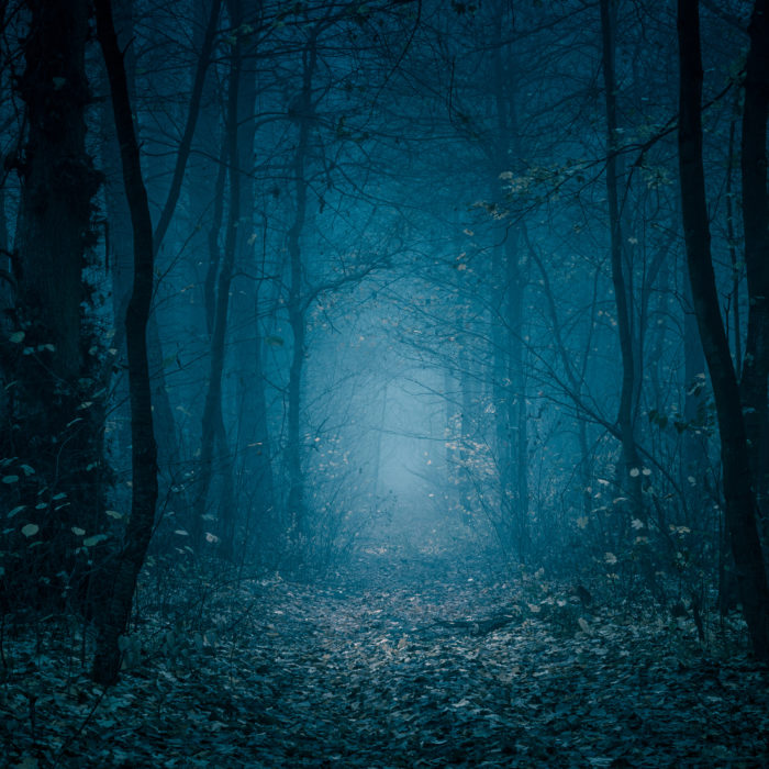 creepy woods