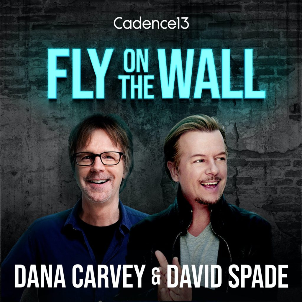 Fly on the Wall Podcast art