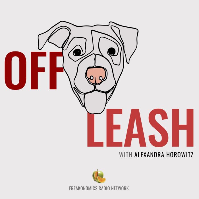 Off Leash podcast art