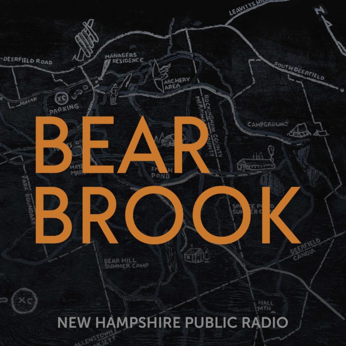Bear Brook image