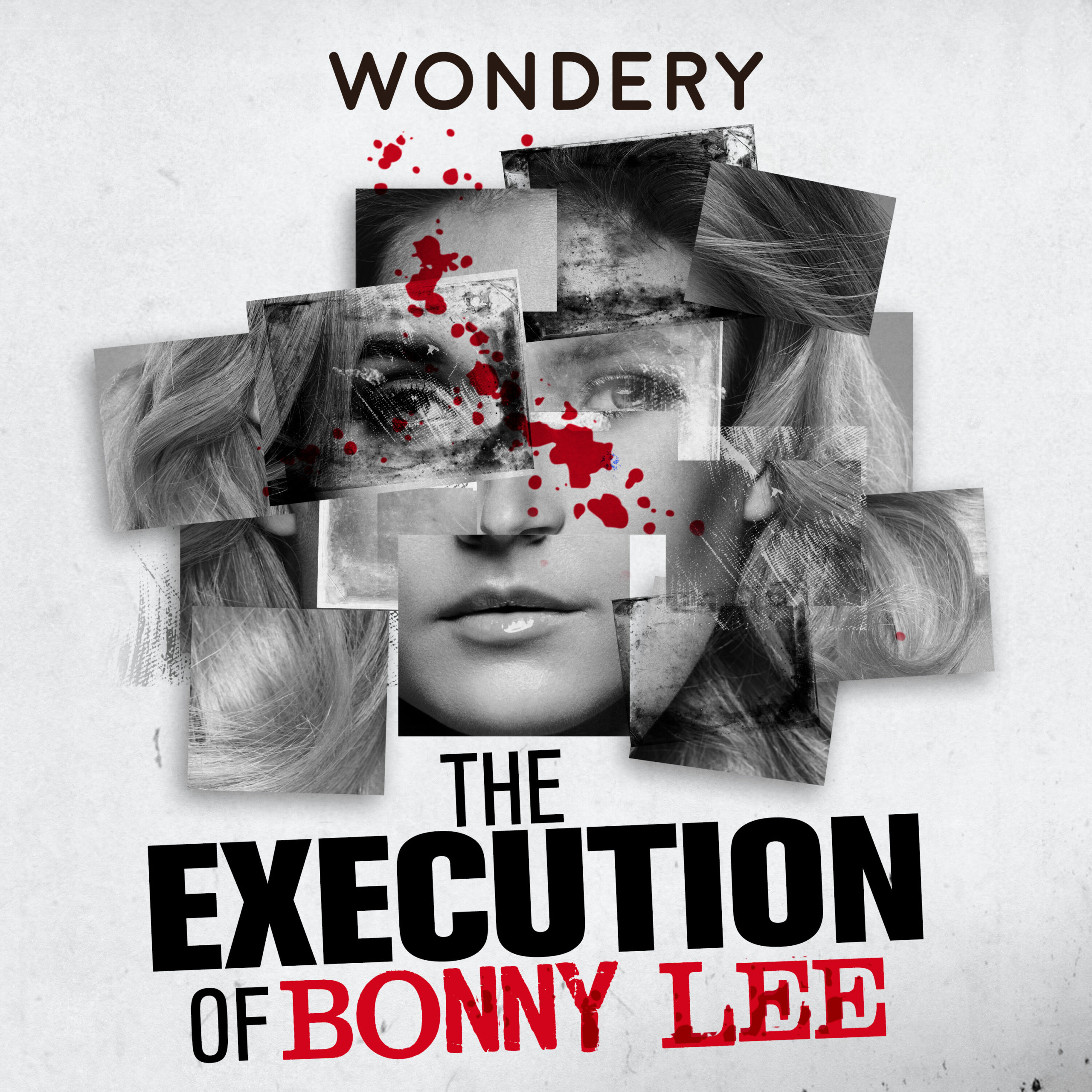 The Execution of Bonny Lee' examines a con artist & a murder case