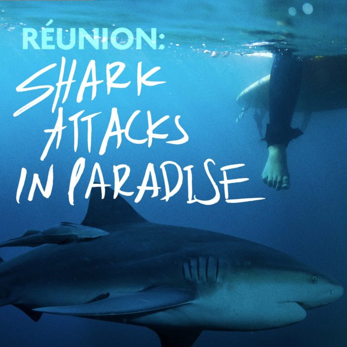Shark Attacks in Paradise podcast art