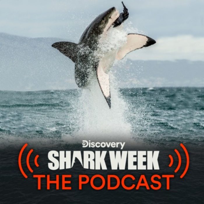 Shark Week: The Podcast image